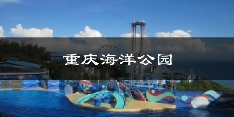 重庆海洋公园今日天气