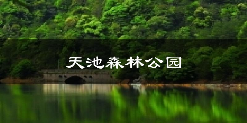 天池森林公园今日天气