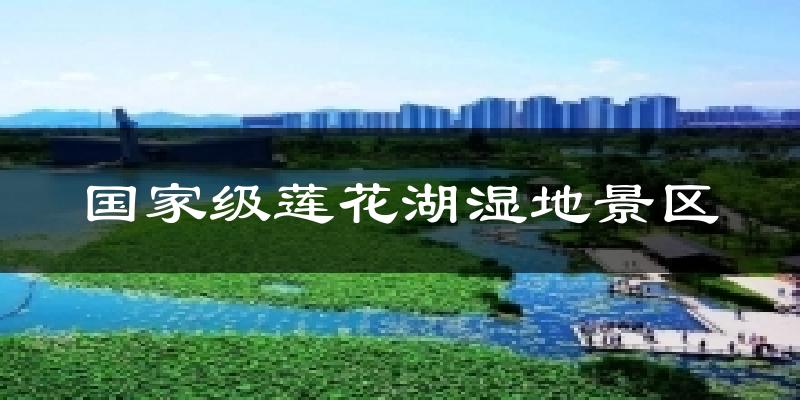 国家级莲花湖湿地景区气温
