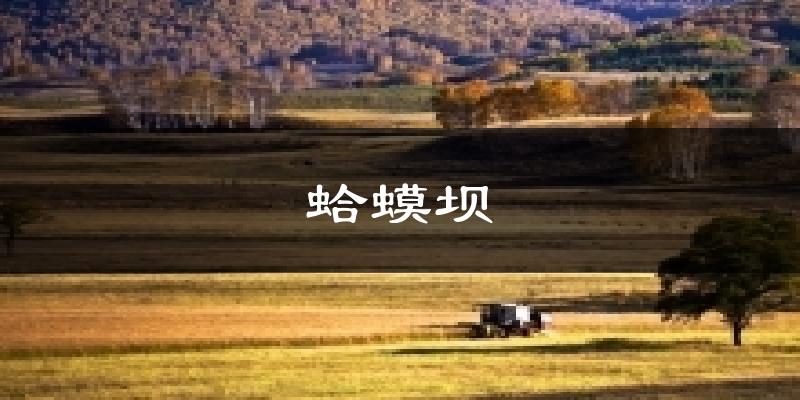 蛤蟆坝气温