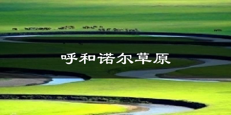 呼和诺尔草原天气预报十五天