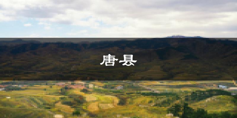 唐县天气预报未来一周