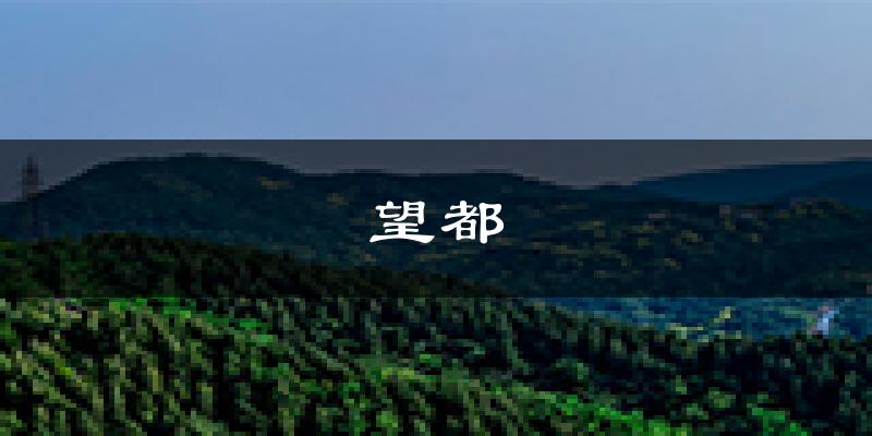 望都天气预报未来一周