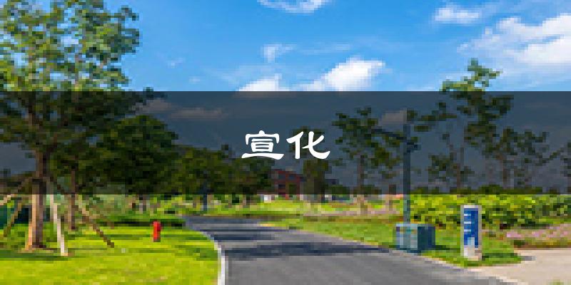 张家口宣化天气预报未来一周