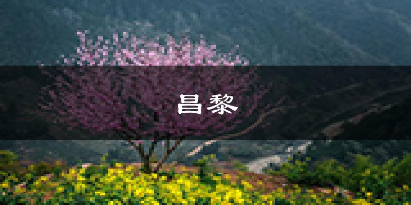 昌黎天气预报未来一周
