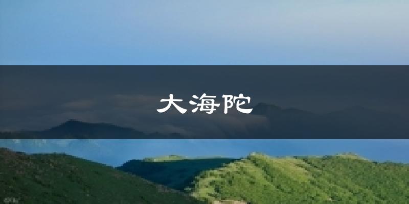 大海陀今日天气