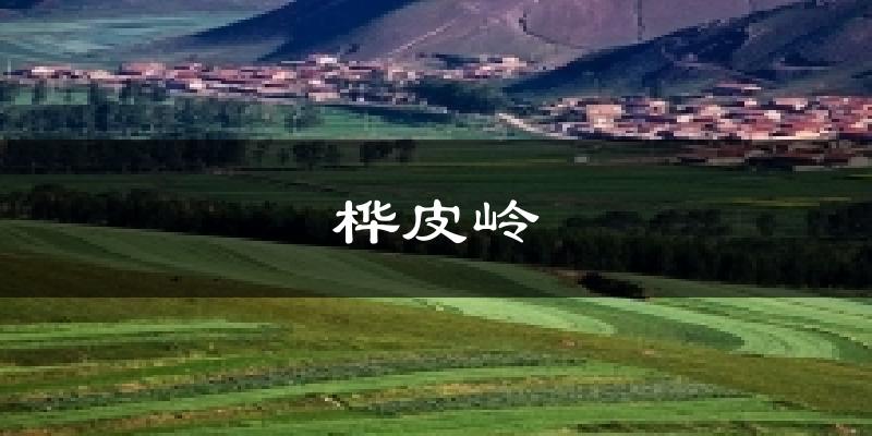 桦皮岭气温
