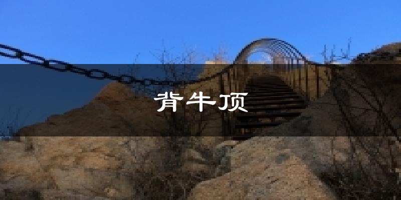背牛顶气温