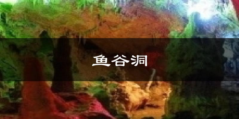 鱼谷洞气温