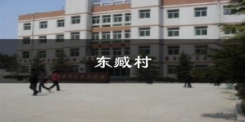 东臧村气温