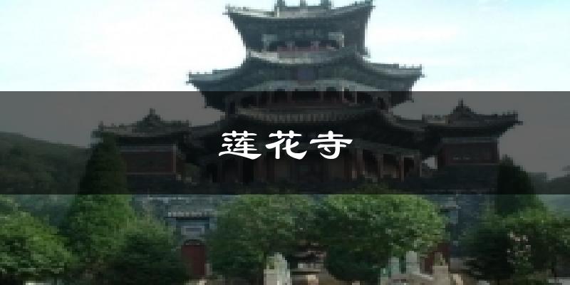 莲花寺气温
