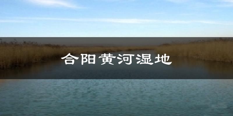 合阳黄河湿地气温