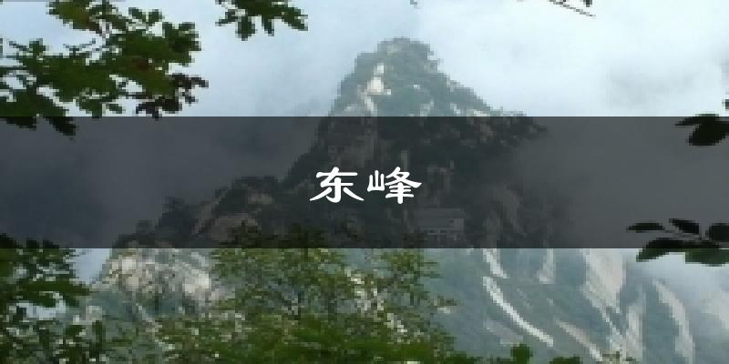 东峰气温
