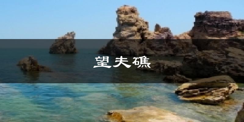 望夫礁今日天气