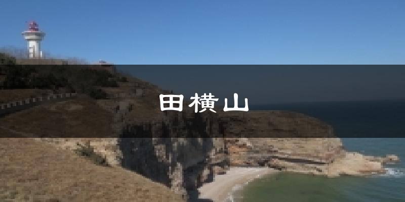 田横山气温