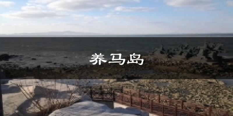养马岛气温
