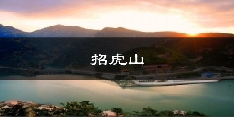 招虎山今日天气