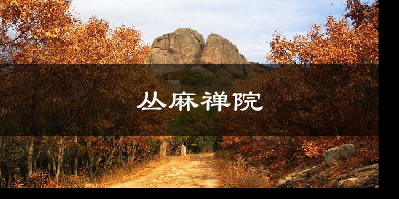 丛麻禅院今日天气