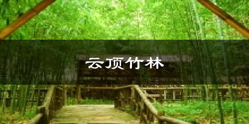 云顶竹林今日天气