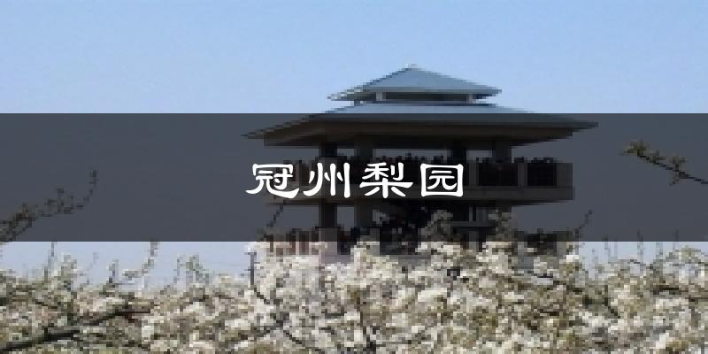 冠州梨园气温