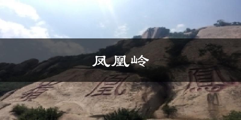 凤凰岭气温