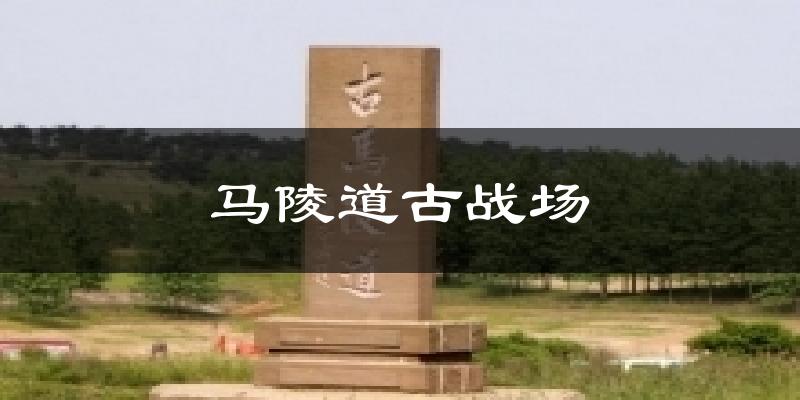 马陵道古战场今日天气