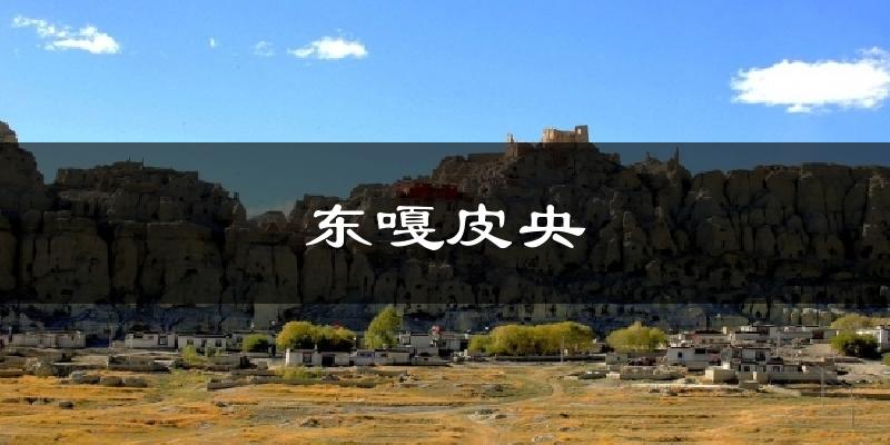 东嘎皮央气温