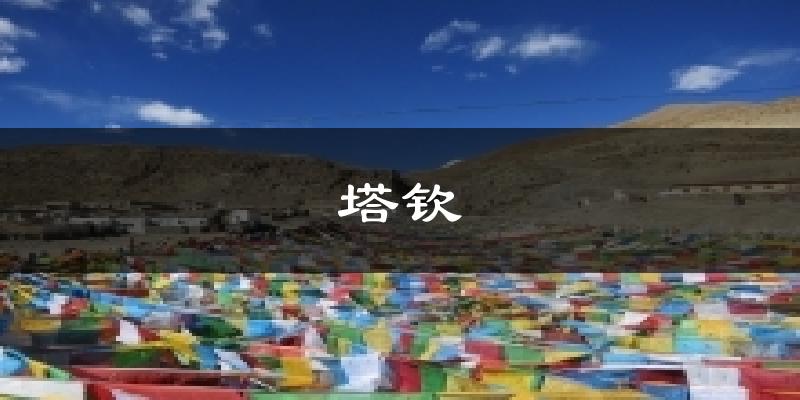 塔钦气温