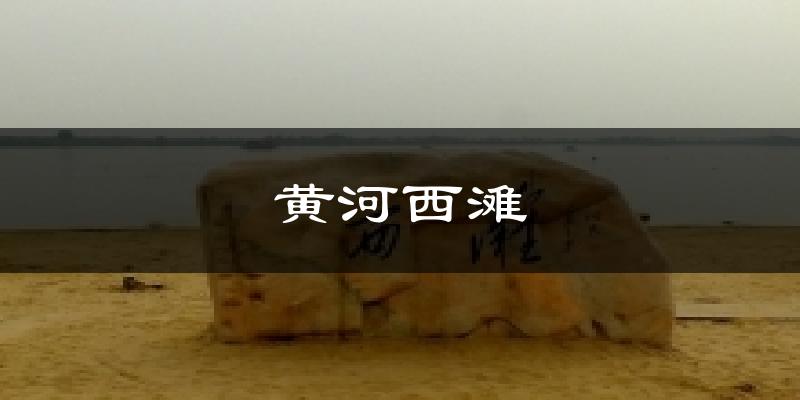 黄河西滩气温