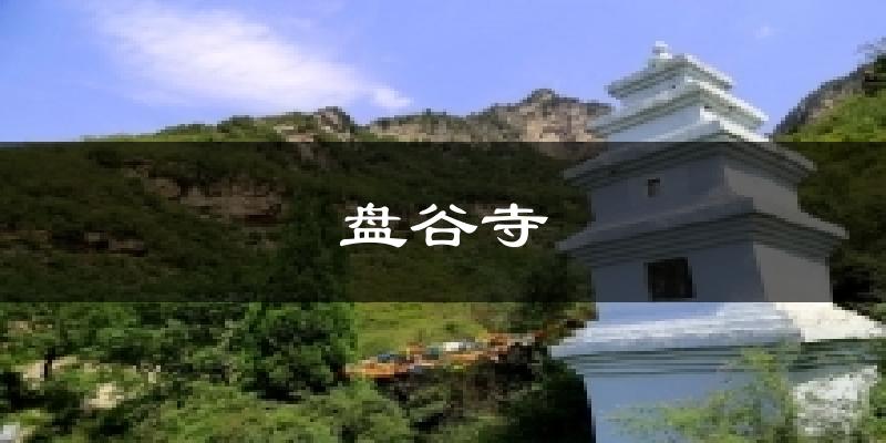 盘谷寺气温