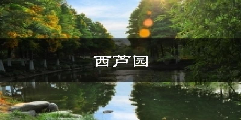 西芦园气温