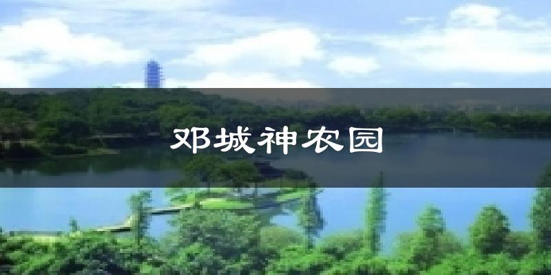 邓城神农园气温