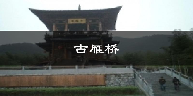古雁桥天气预报十五天