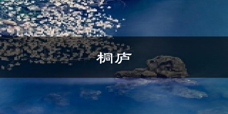 桐庐天气预报未来一周