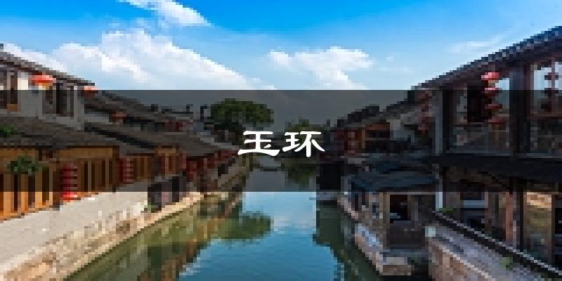 玉环天气预报未来一周