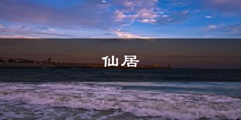 仙居天气预报未来一周