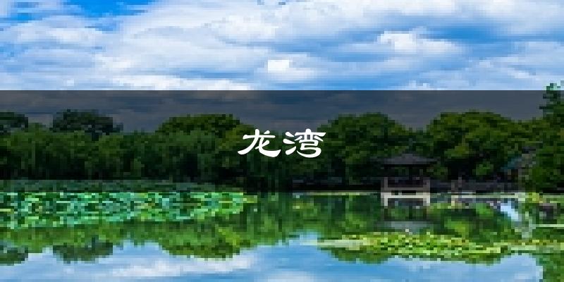 温州龙湾天气预报未来一周