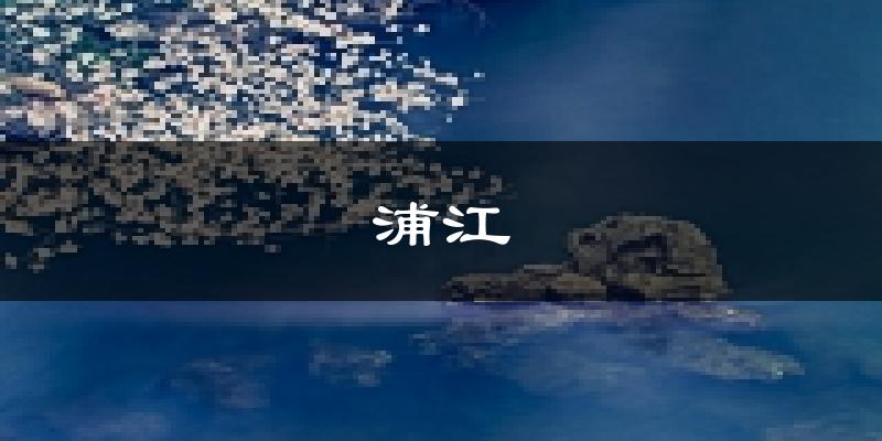 浦江天气预报未来一周