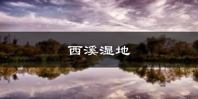 西溪湿地气温