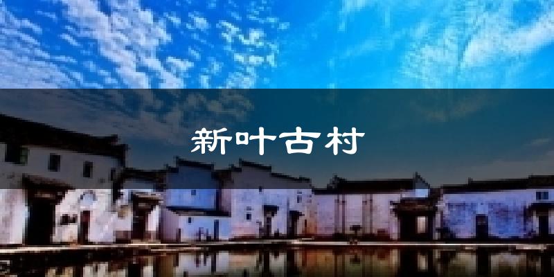 新叶古村气温