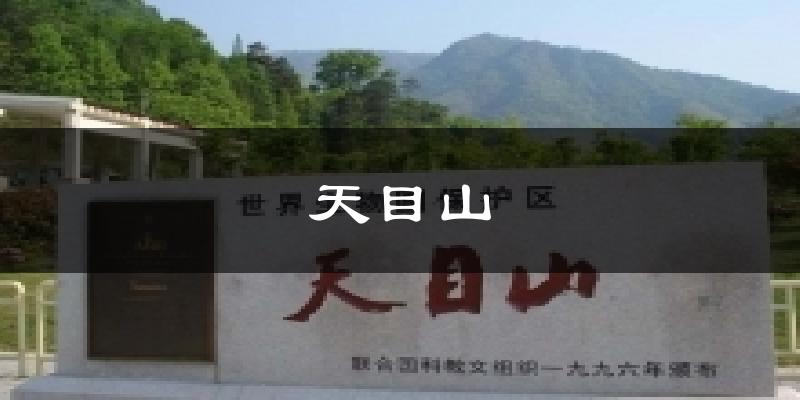 天目山气温