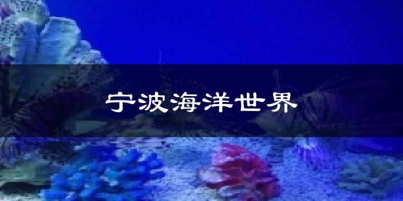 宁波海洋世界气温