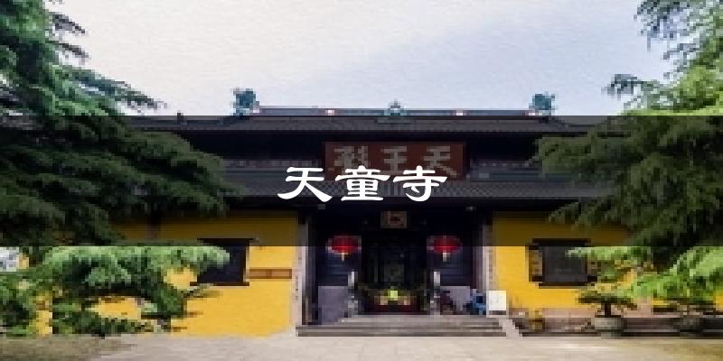 天童寺气温