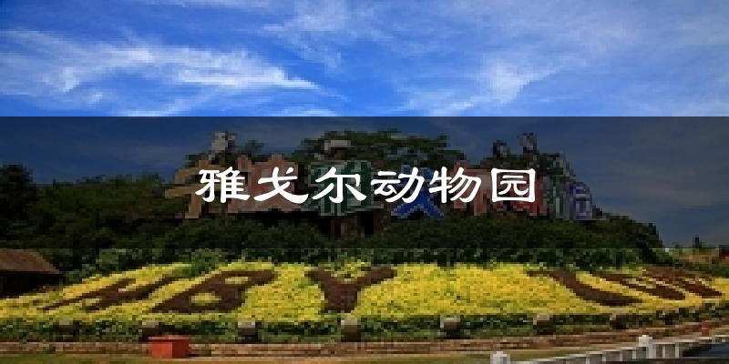 雅戈尔动物园气温