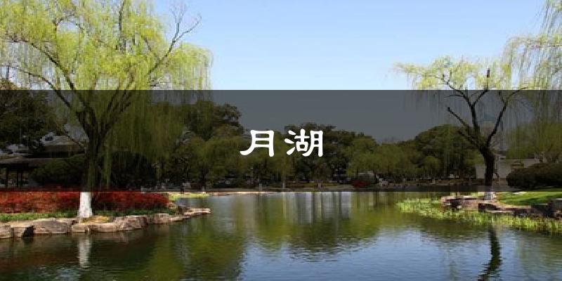 月湖气温