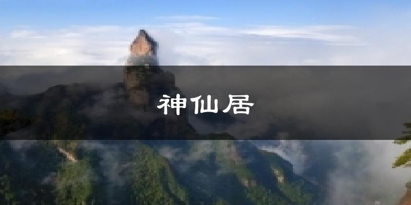 神仙居今日天气