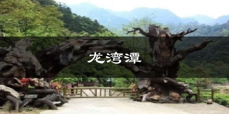 龙湾潭气温