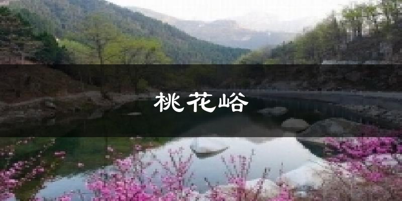 桃花峪气温