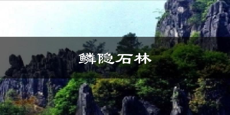 鳞隐石林气温