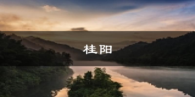 桂阳天气预报未来一周